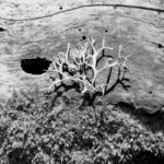 Découvrez l’actualité et les conseils du Groupe Soriano sur notre blog