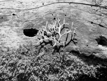 découvrez soriano, une entreprise innovante qui propose des solutions sur mesure pour répondre à vos besoins spécifiques. profitez de notre expertise et de notre savoir-faire pour booster votre projet et atteindre vos objectifs.