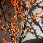 Les plus belles idées pour sublimer votre intérieur avec un vase de décoration