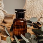 Discover Shaktio: Your Gateway to Holistic Wellness