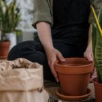 Découvrez la tendance des robes terracotta pour un look chic et naturel