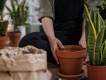 découvrez l'univers chaleureux et intemporel de la terracotta. idéale pour vos projets de décoration intérieure et extérieure, cette matière naturelle apporte une touche d'authenticité et d'élégance à votre espace. explorez nos conseils et inspirations pour intégrer la terracotta dans votre style de vie.