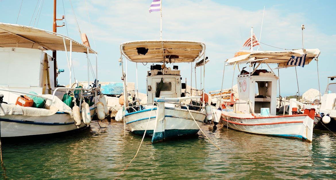 découvrez les bienfaits du soleil pour la santé : vitamine d, bien-être mental et effets positifs sur le corps, tout en apprenant comment profiter du soleil en toute sécurité.