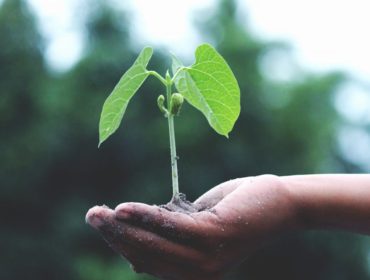 découvrez des stratégies efficaces pour stimuler la croissance de votre entreprise, augmenter votre chiffre d'affaires et optimiser vos performances sur le marché.