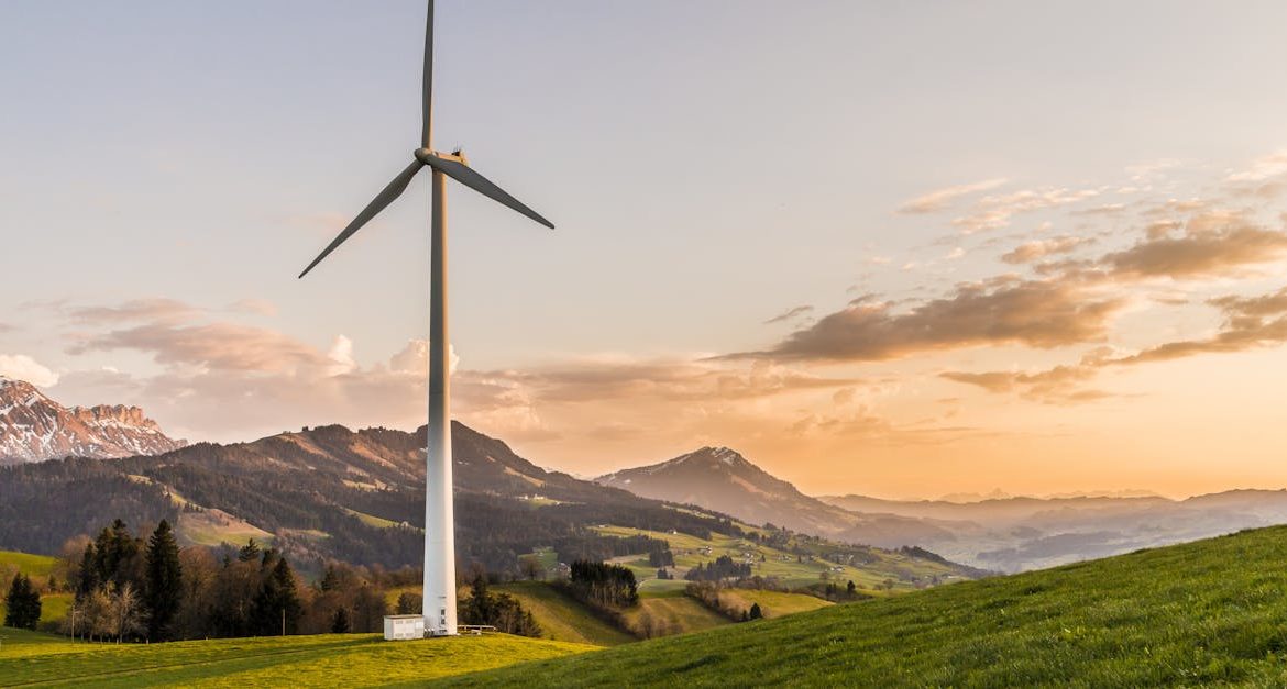 découvrez comment adopter la durabilité dans votre vie quotidienne, comprendre ses enjeux et explorer des solutions éco-responsables pour un avenir respectueux de l'environnement.