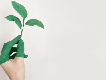 découvrez la mode durable : conseils, marques éthiques et astuces pour adopter un style responsable, respectueux de l’environnement et tendance.