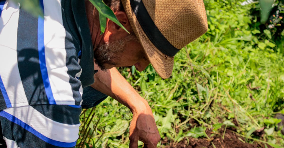 découvrez la lingerie durable : des sous-vêtements éthiques et éco-responsables conçus à partir de matières respectueuses de l'environnement, pour allier confort, style et préservation de la planète.