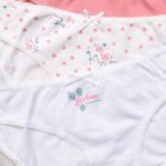 Découvrez l’univers de Stone Fox : Lingerie tendance et écoresponsable