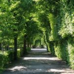 Un Jardinier Domont peut-il entretenir un grand jardin ?