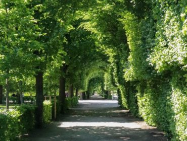 Jardinier Domont