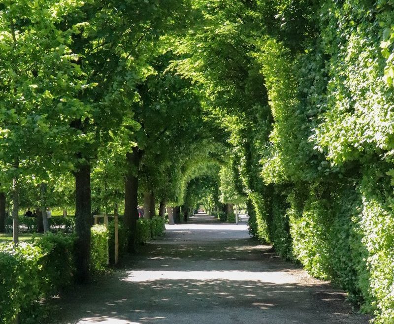 Jardinier Domont